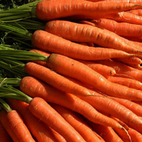 carrots